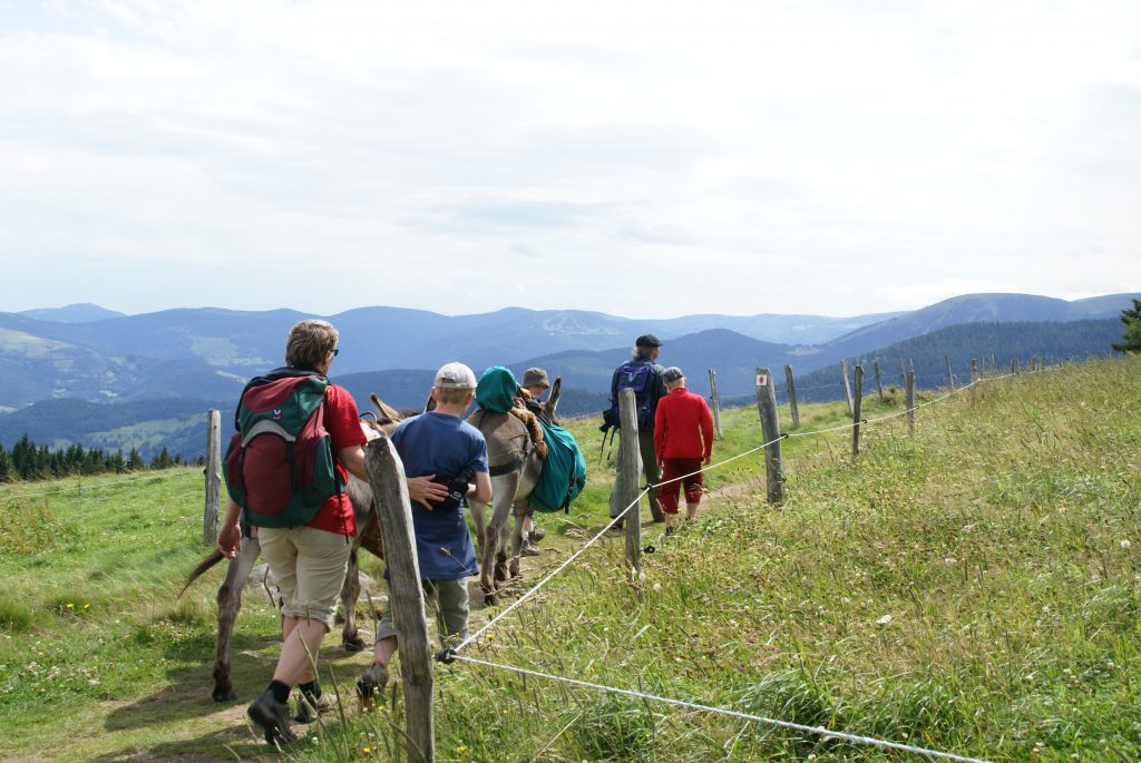 Promenade avec un âne et des enfants