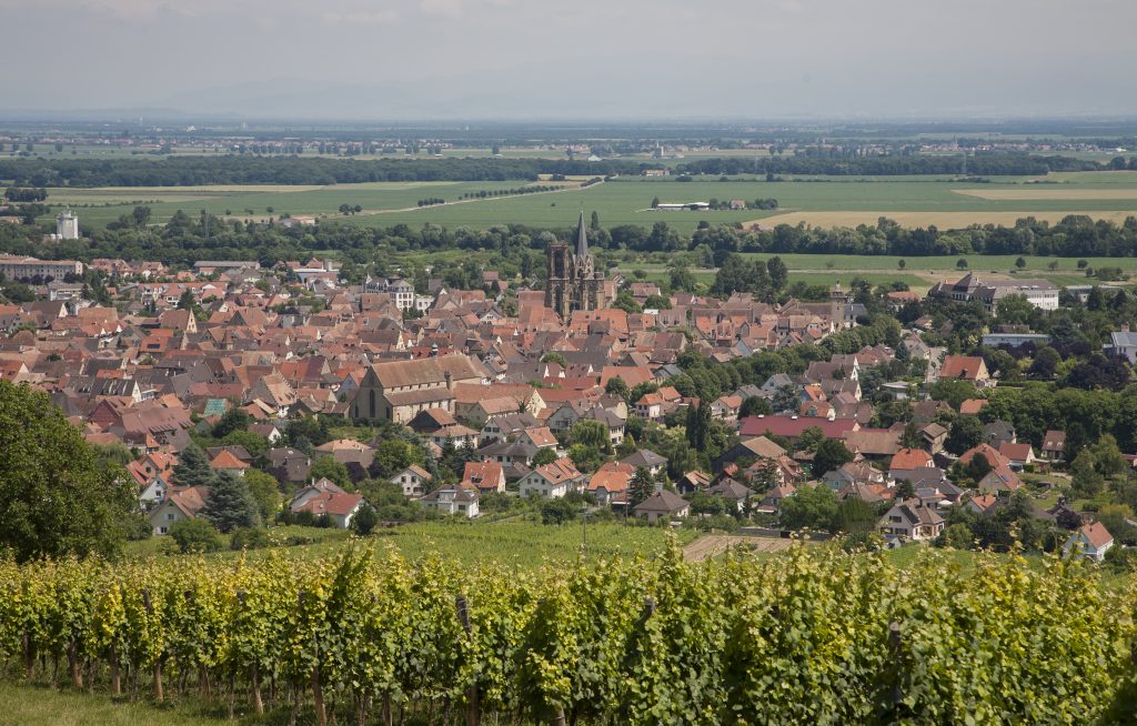 Panorama de Rouffach